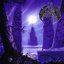 Enter the Moonlight Gate