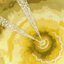 cogito, ergo sum
