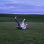 Fucking It Up - Single