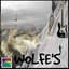 Wolfe's