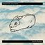 White Rabbit