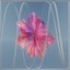 Intentions (feat. SARRIA) - Single