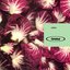 Radiccio - EP