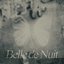 belle de nuit