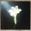Light That Leads Me (The Remixes)