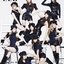 Mr. Taxi (Repackage Album)