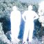 All Systems Are Lying / Run Free (Nite Versions) - Single