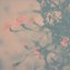 Tabou EP