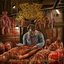 ANATOMY OF THE HUMAN VASCULATURE