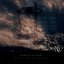 Under Seven Skies
