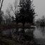 Life Has No Meaning Except Suffering - Single