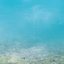 The Water