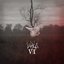 VI