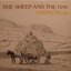 The Sheep And The Hay