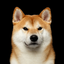Avatar for UberAnanas