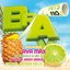 BRAVO Hits, Vol. 110 [Explicit]