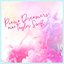Piano Dreamers Play Taylor Swift (Instrumental)
