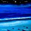 Tiburones (Sharks)