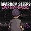 Bad Hibernations: Lullaby covers of A Day To Remember songs