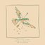 The Bird Song (with Em Beihold)