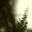 Beyond Embers & The Earth