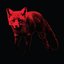 The Day Is My Enemy Remixes