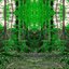 Wonderland