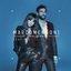Ricorderai l'amore (Remember the Love) [feat. Grace Capristo] - Single