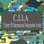 C.I.I.A. VISITING CARD COMPILATION N°5 (2008)