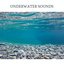 Underwater Sounds