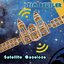 Satellite Mansions