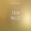 Thin Walls (Bonus Tracks)
