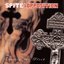 Crucify the Flesh