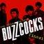 Ever Fallen in Love? Buzzcocks Finest