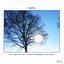 Time Fragments, Vol. 6: Between Nothingness And Eternity
