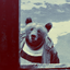Avatar for Schizoid_bear