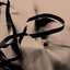 Infinite Tape Loops: I Fell Apart in Quiet Days