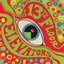The Psychedelic World of the 13th Floor Elevators