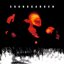 Superunknown