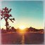 Colors Fade [Explicit]
