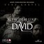 Slew Dem Like David - Single
