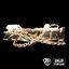 Trophy - EP