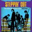 Steppin' Out: The Roots Of Garage Rock 1963-1965