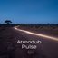 Pulse