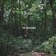 Forest Bird Sounds Vol. 1
