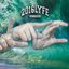 SLOW DOWN (feat. SMOKEDOPE2016)