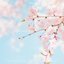 Every moment of spring feels like you.