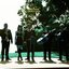 Hallucinating (Mariachi Version) - Single