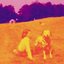 Blinking Lights and Other Revelations (disc 1)