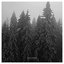 Withered And Forgotten